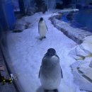 1-16호어린이공원 | 중국 해양테마파크 상하이 하이창 해양공원 추천 후기 (上海海昌海洋公园)