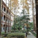 화동중화로 이미지