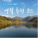 주천 5일장 | 가을단풍여행 영월 캠핑장 근처 가볼만한 곳_주천시장, 주천섶다리 , 커피원두맛집 로드1423