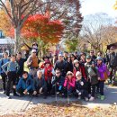 선운산 단풍~ 이미지