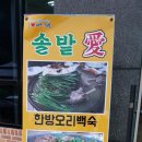 솔밭애 네이버블로그