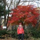 덕유산(통영) 이미지