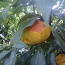 태농농장 이미지