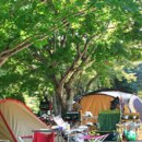 대관령 솔내음 오토 캠핑장 이미지