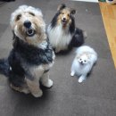 제주우리동물병원 이미지