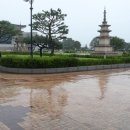 경주경북약국 이미지
