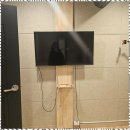 얼라이브홀 이미지