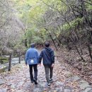 [직원연수] 지금까지 이런 연수는 없었다! 고강에서 철암으로. 연수후기