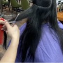 매스티지헤어샵 | 흰머리 회색 염색 후기 새치 발레아쥬 염색 추천