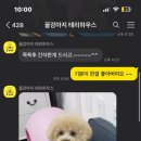 꿀강아지 테리하우스 이미지