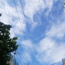 7번가피자 구의점 | 구의 피자 배달 7번가피자 와이키키~>_<