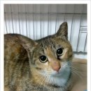 공원마트 이미지