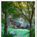 별이 뜨는 집 이미지