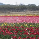 점암농장 이미지