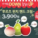 토니모리잠실지하