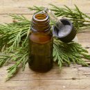 오일프러스 이미지