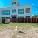 설악의 정원 이미지