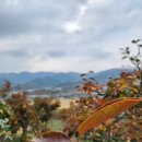 청도농장 이미지