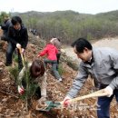 희망나무심기6 이미지