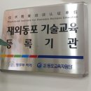 보떼대해