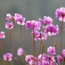 소양1(익산) 이미지