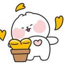 다육이랑꽃이랑 이미지