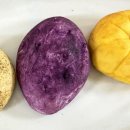 건강하고 맛있게 비건베이킹(유아) | 안양 범계역 마스베이커리 구황작물빵 (감자빵 / 고구마빵 / 단호박빵) 3종 솔직 후기