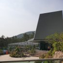 금산그랜드분재까페