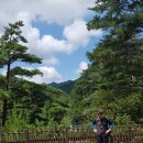 하추자연휴양림 이미지