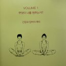 비니요가 | 요가 해부학책 추천 유어바디 유어요가 후기: 해부학 관점에서 바라본 정렬과 아사나