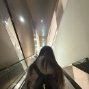 롯데리조트 속초 | [속초] 롯데 리조트 속초 후기 | 로얄 - B형