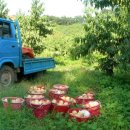 장택농장 이미지