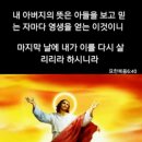 제일건축업
