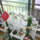 베란다 미니 정원 소품 및 x-mas 사슴 트리와 각종 집안 인테리어 소품들(판매완료) 이미지