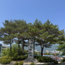 삼호동부로 | 양산 서창고등학교 체육대회 소프트아이스트림 기계 행사렌탈 후기
