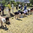 어린이공원(도시공원) 이미지