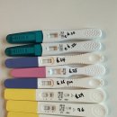 유재산후조리원 | 일산 분만 병원 정하기 / 허유재병원 토요일 오픈런 / 임신확인서 발급
