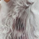 태전동물병원 이미지