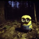 배인유치원 | 만 4세 교육실습 연계 수업 [나비의 성장과정 알아보기]