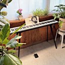 똑똑한 디지털 세상 입문 (스마트폰) | LUVOL 루볼 PS-300 최신 입문용 88건반 디지털 전자피아노