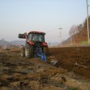 시산농장 이미지