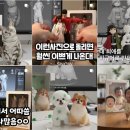 피규어 만들기 이미지