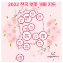 2022 전국 벚꽃 개화 지도 이미지