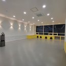 플레이독 애견유치원 이미지