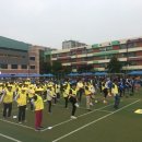 초록렌탈