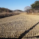 소태면사무소 이미지