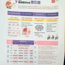박선영논술