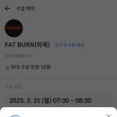 바디쉐이프