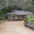 화수분농장 이미지