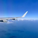 이마트 아가방 | 제주도 아기 수영복 매장, 제주공항 근처 롯데마트 아가방에서 급 구매 후기